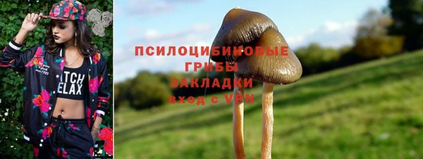 мдпв Гусь-Хрустальный