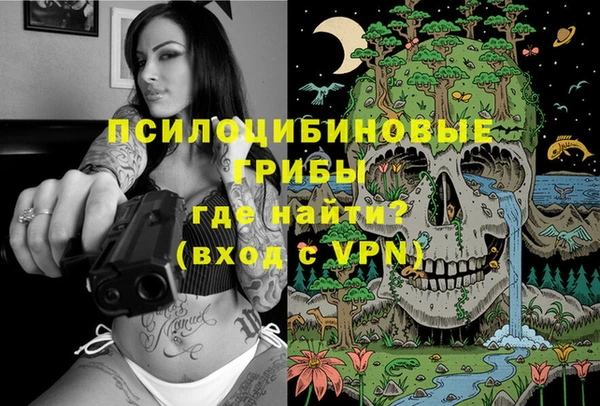 бошки Гусиноозёрск