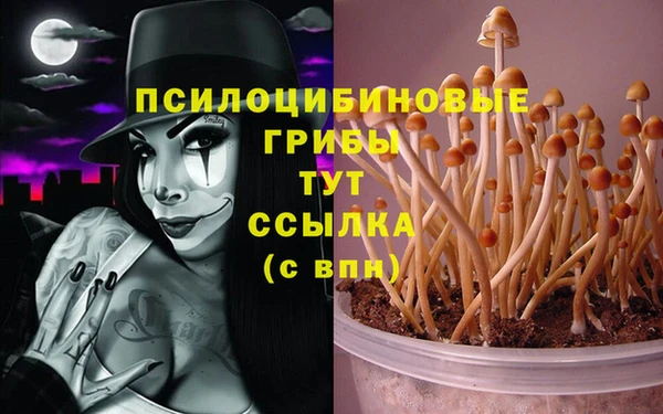 бошки Гусиноозёрск