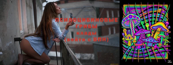 МДПВ Горнозаводск