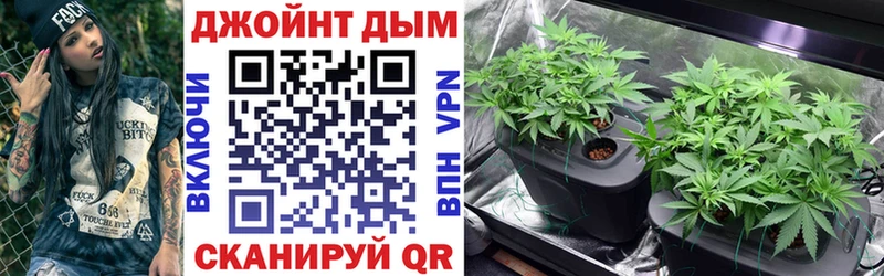 Купить закладки  Ирбит  Канабис планчик 